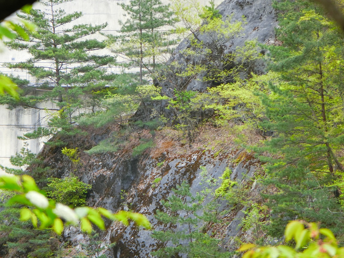 f:id:msx4:20210612230436j:plain