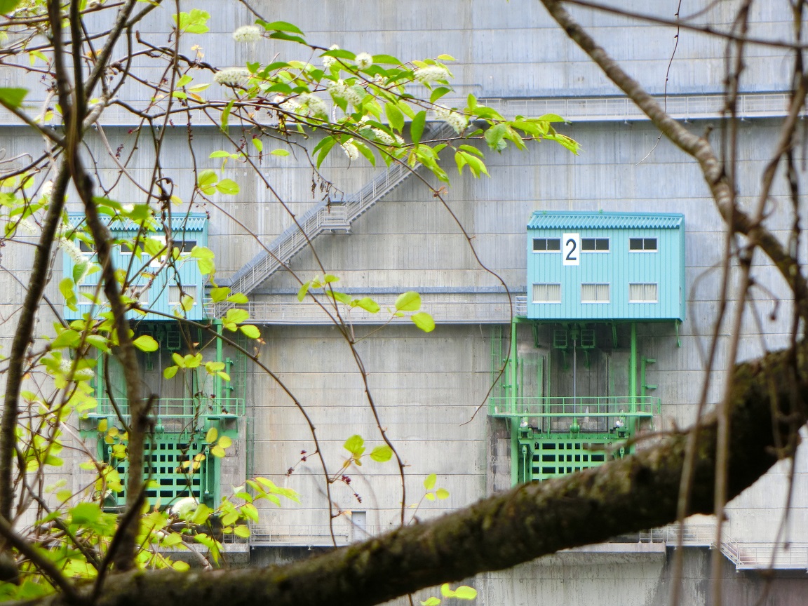 f:id:msx4:20210612230527j:plain