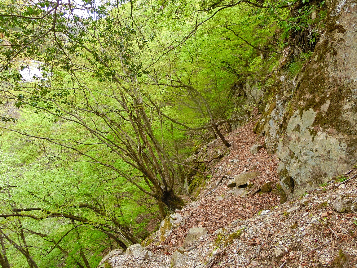 f:id:msx4:20210612230546j:plain