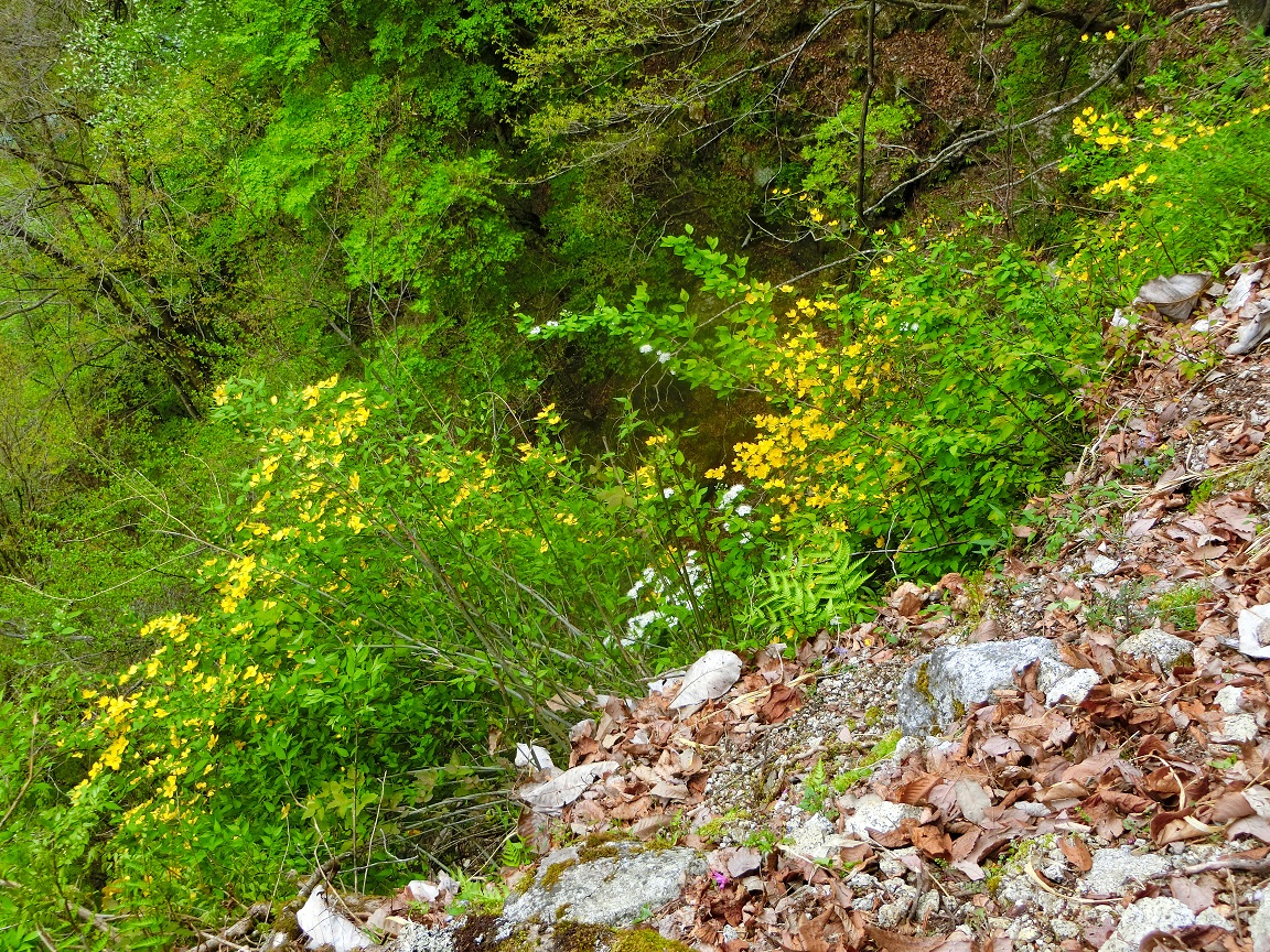 f:id:msx4:20210612230822j:plain