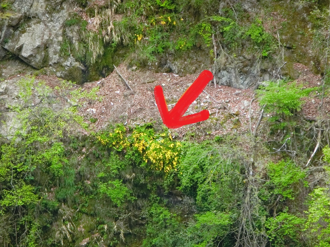 f:id:msx4:20210614111230j:plain