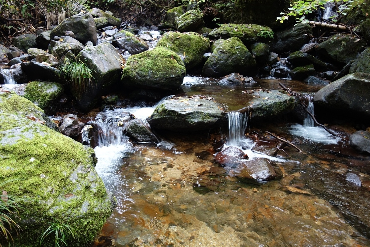 f:id:msx4:20210806233300j:plain