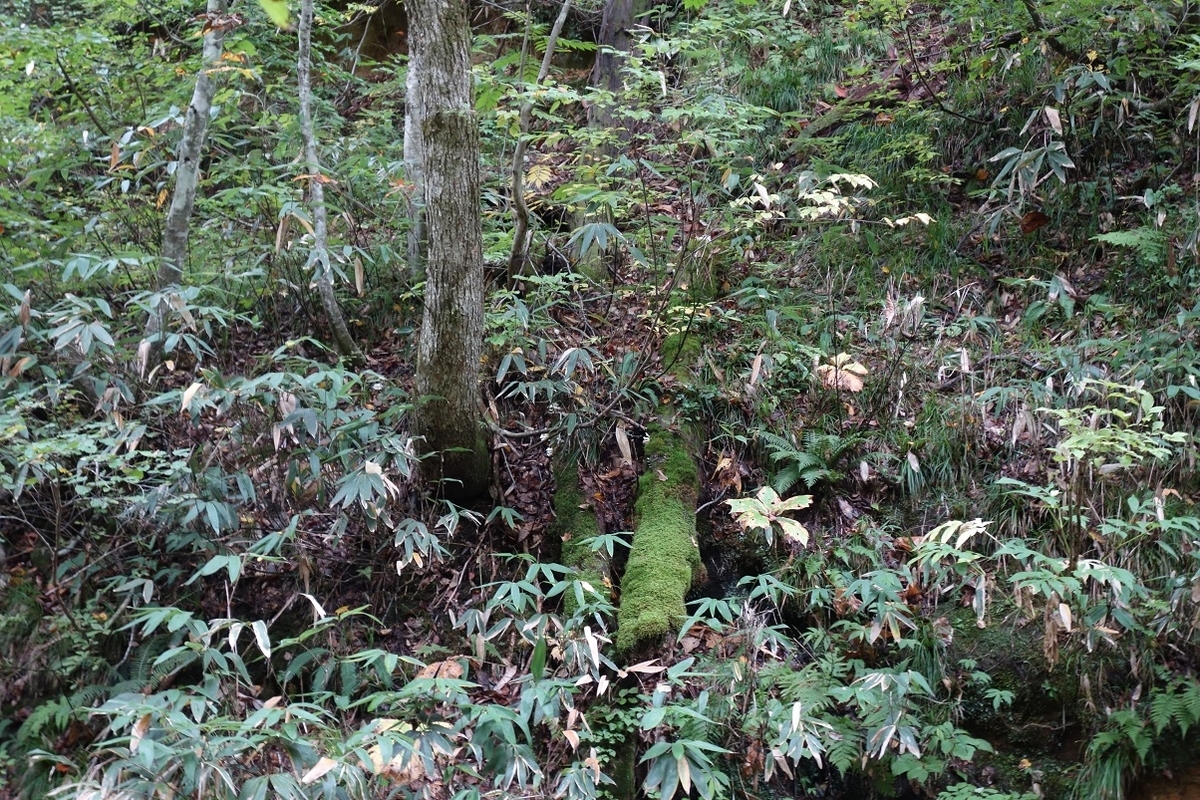 f:id:msx4:20210807085840j:plain