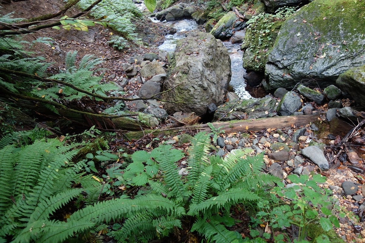 f:id:msx4:20210807085943j:plain