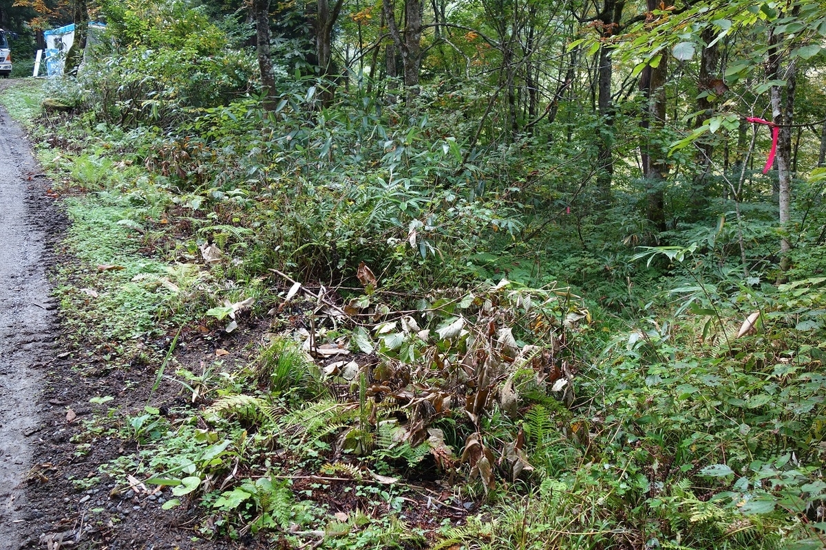 f:id:msx4:20210807091103j:plain