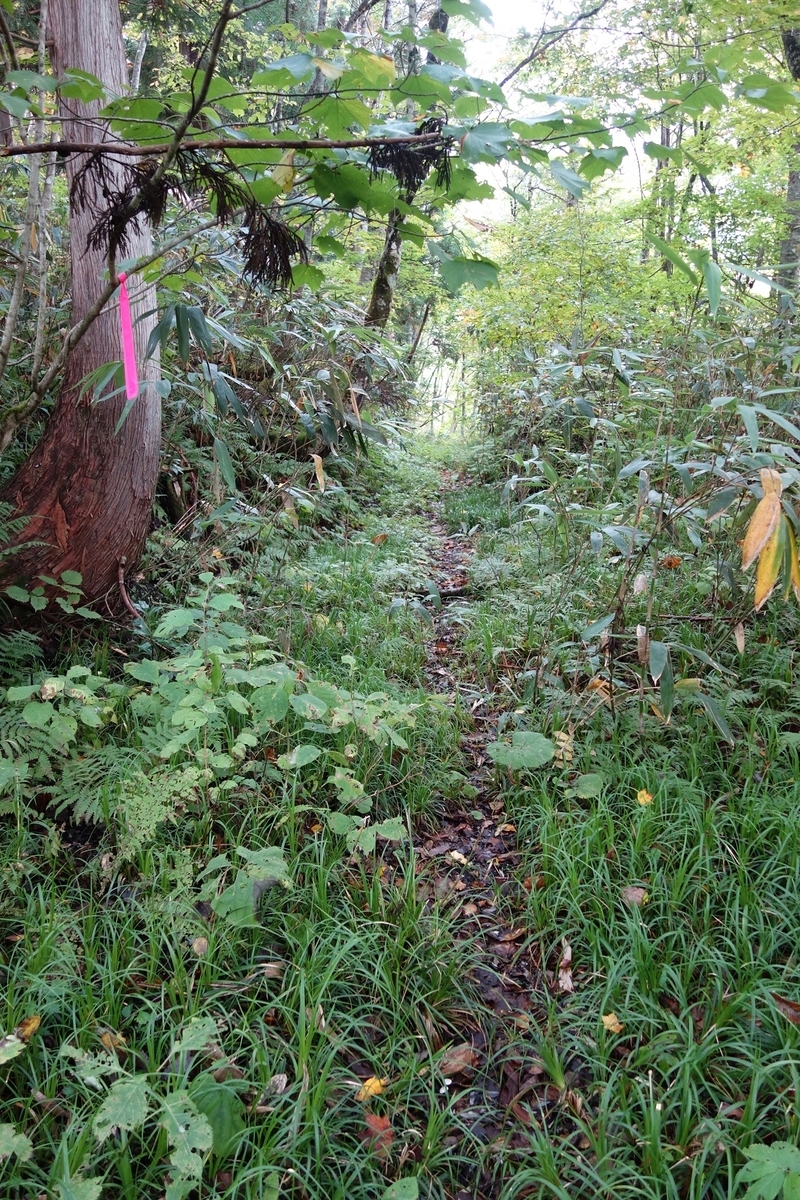 f:id:msx4:20210807233033j:plain