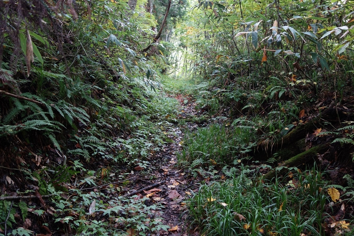 f:id:msx4:20210807233435j:plain