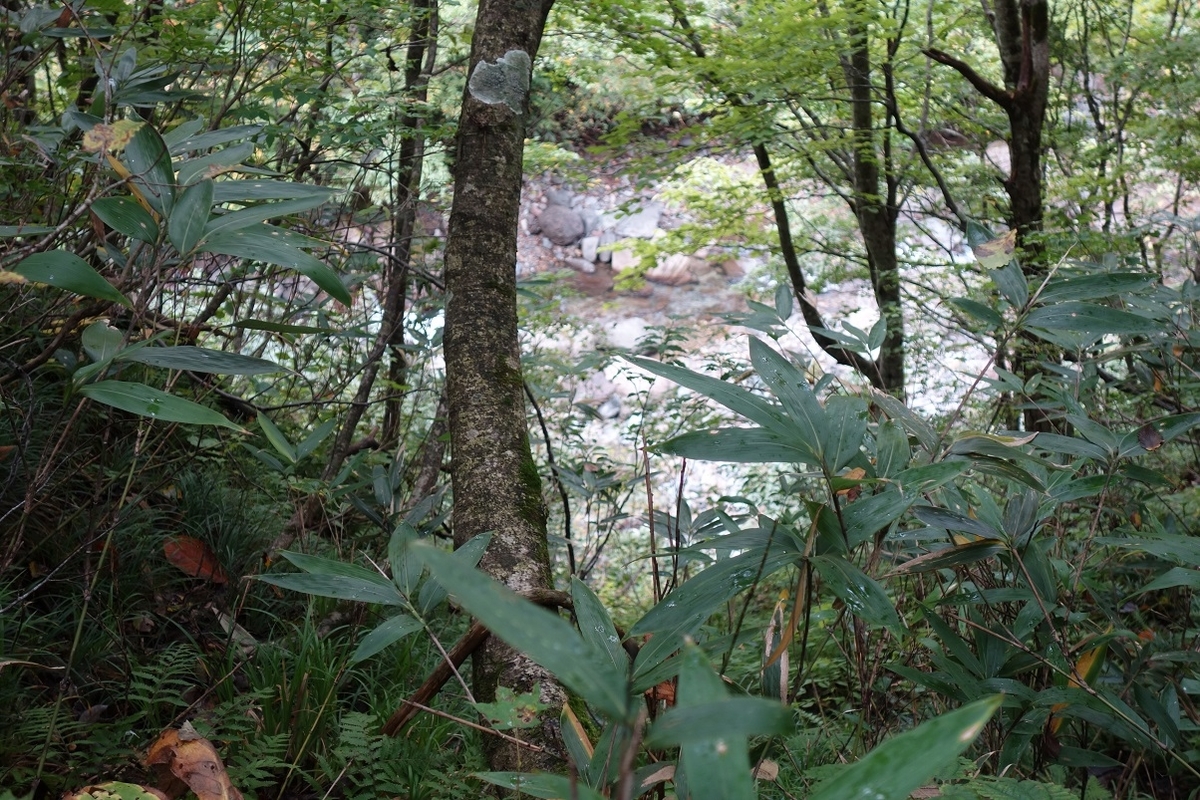 f:id:msx4:20210807233510j:plain