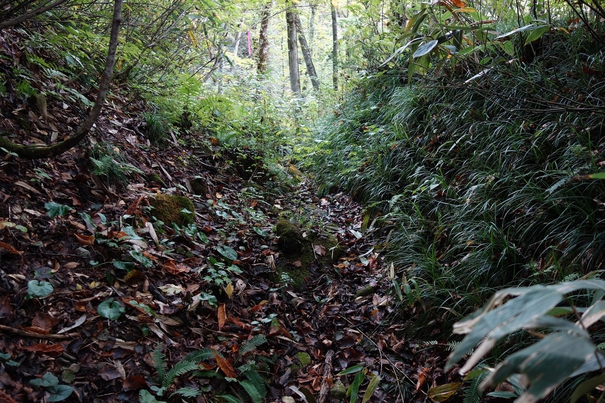 f:id:msx4:20210808022512j:plain