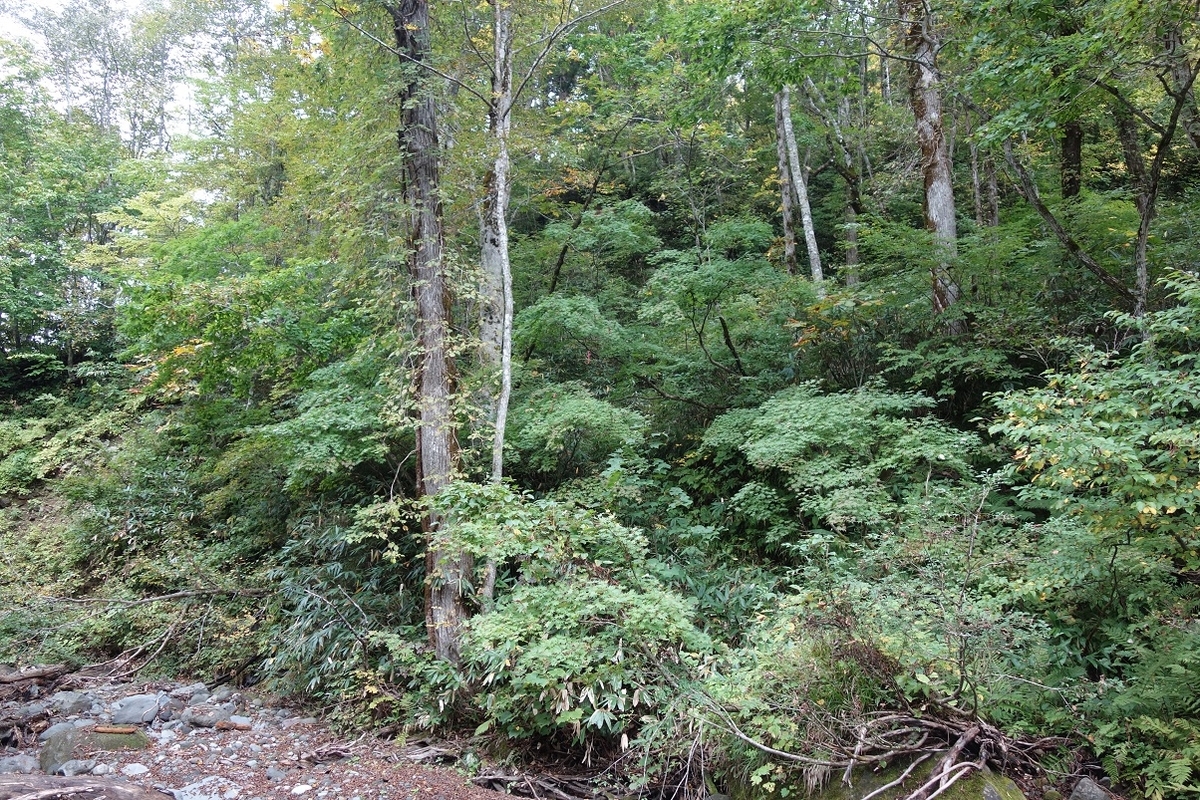 f:id:msx4:20210808022637j:plain