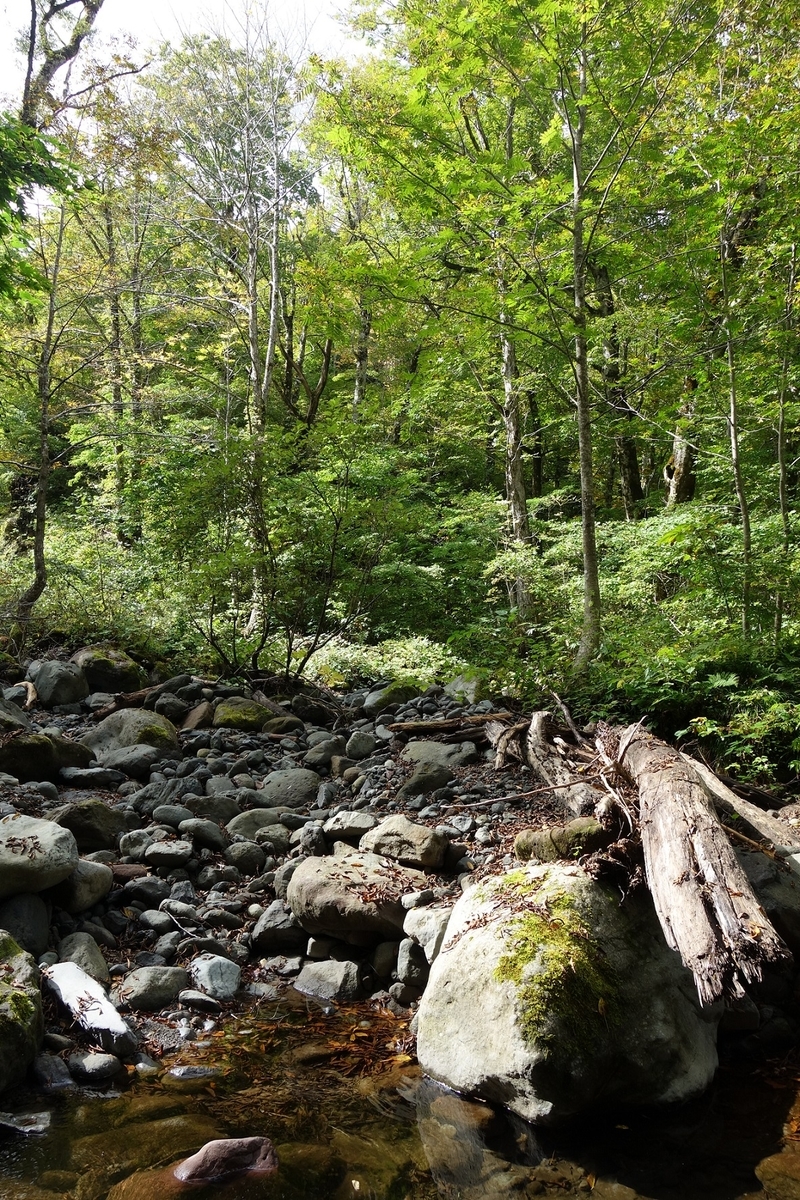 f:id:msx4:20210808022708j:plain