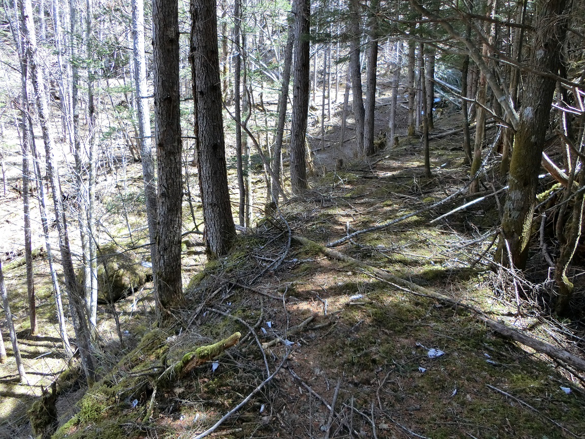 f:id:msx4:20210916210145j:plain