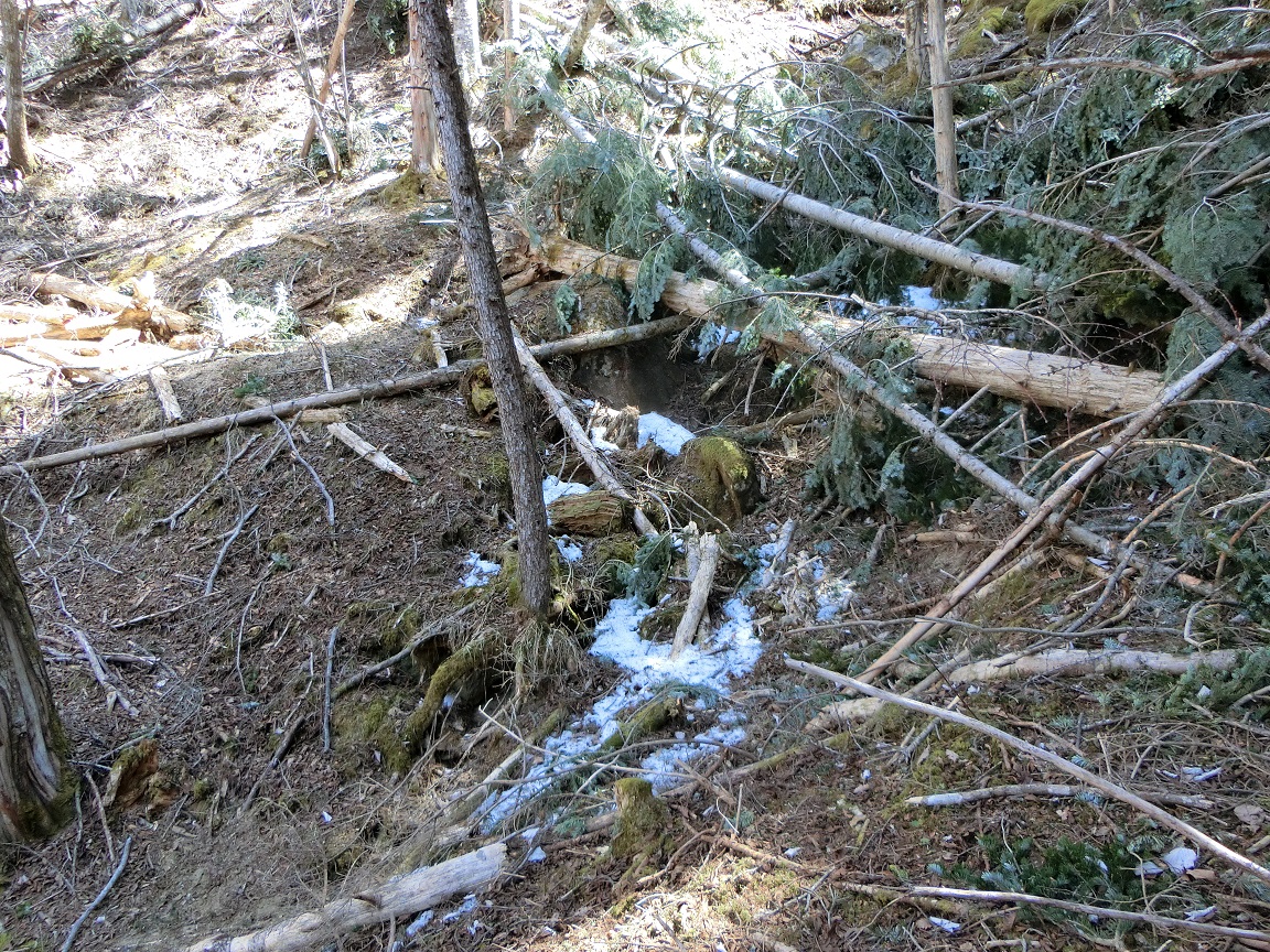 f:id:msx4:20210916210309j:plain