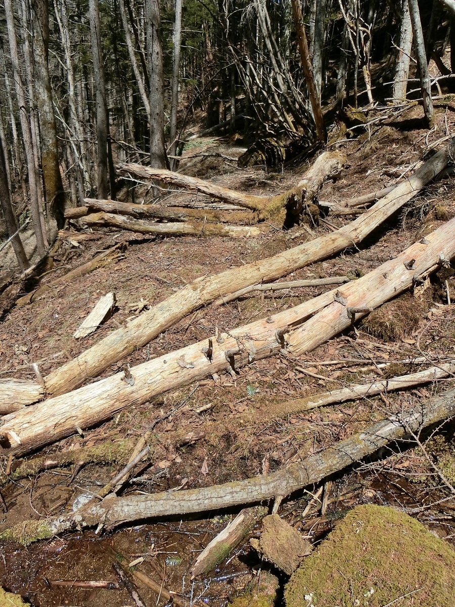 f:id:msx4:20210916210332j:plain