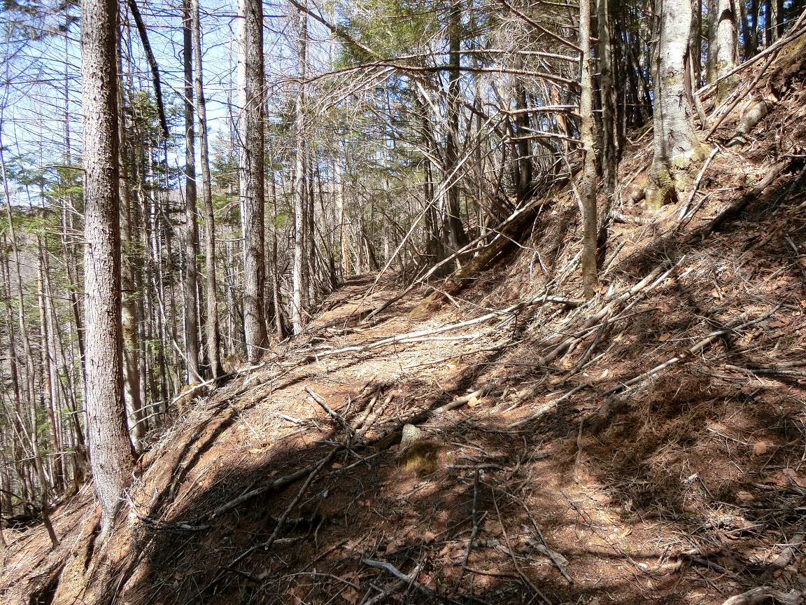 f:id:msx4:20210916210357j:plain