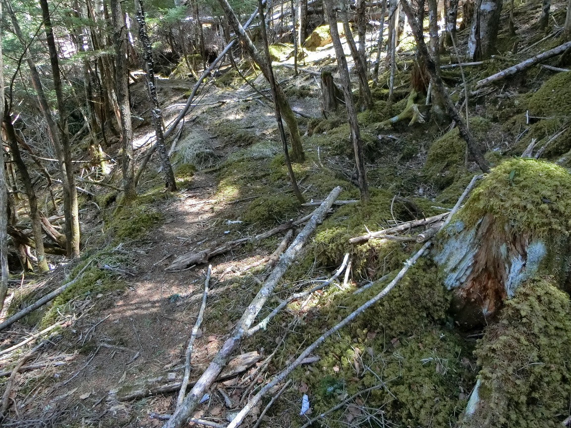 f:id:msx4:20210916210434j:plain