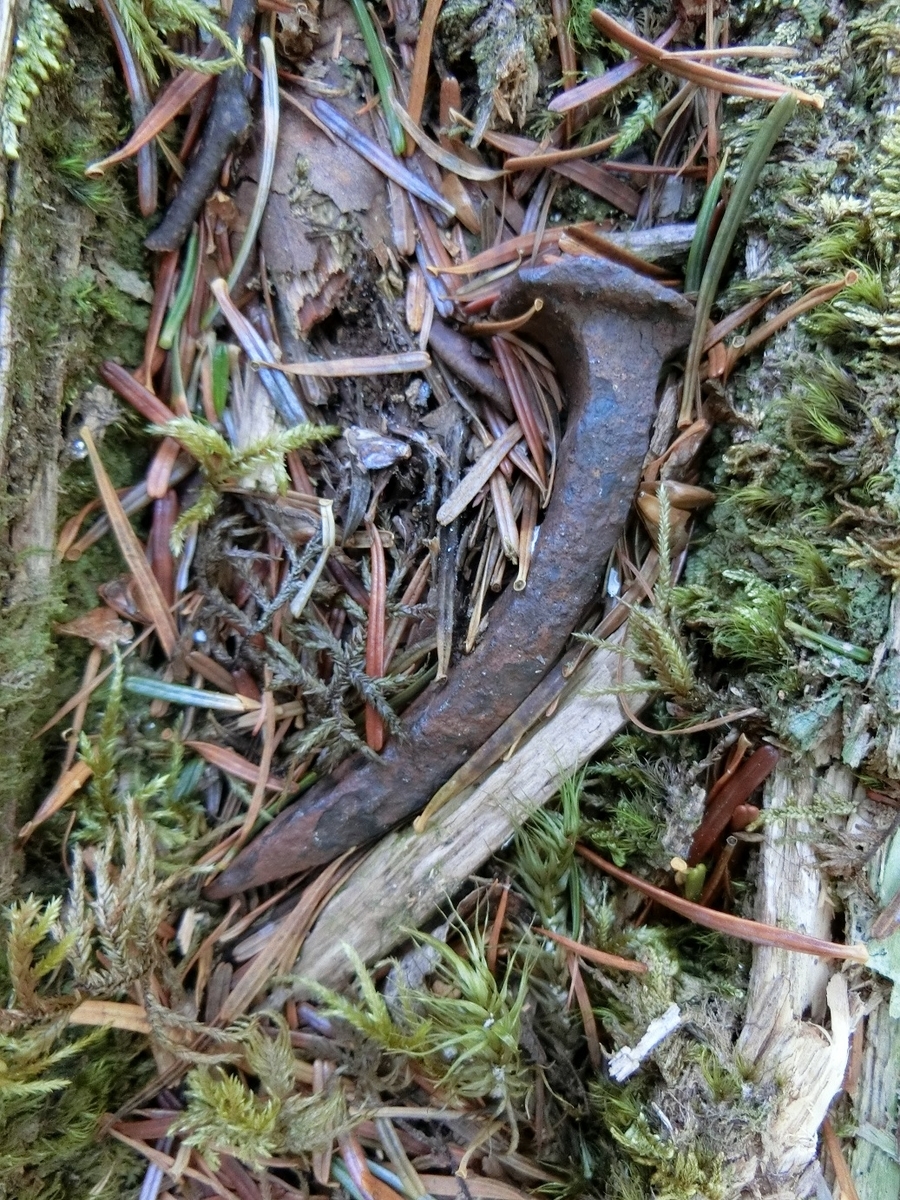 f:id:msx4:20210916211000j:plain