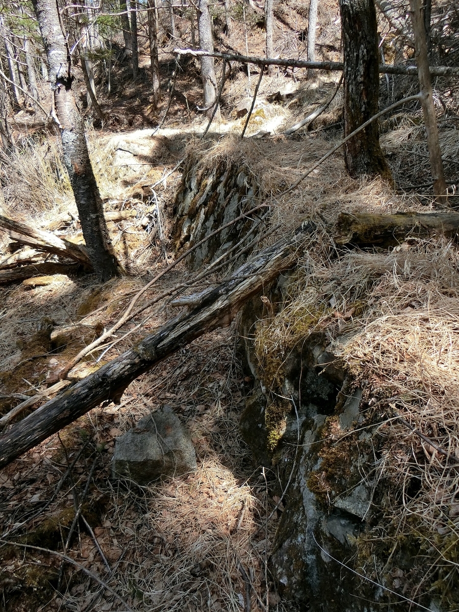 f:id:msx4:20210916211216j:plain