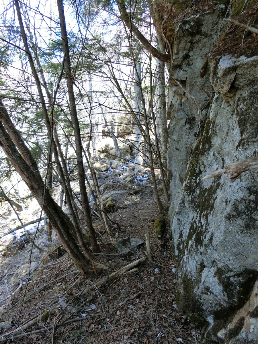 f:id:msx4:20210916211341j:plain