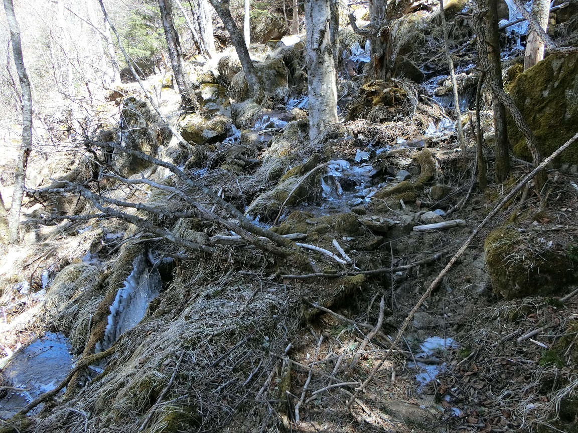 f:id:msx4:20210916211416j:plain