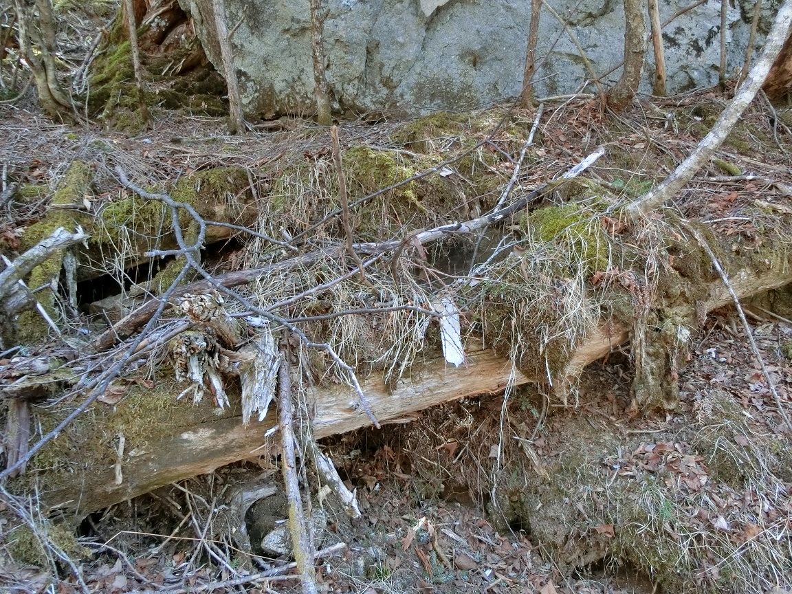 f:id:msx4:20210916211622j:plain