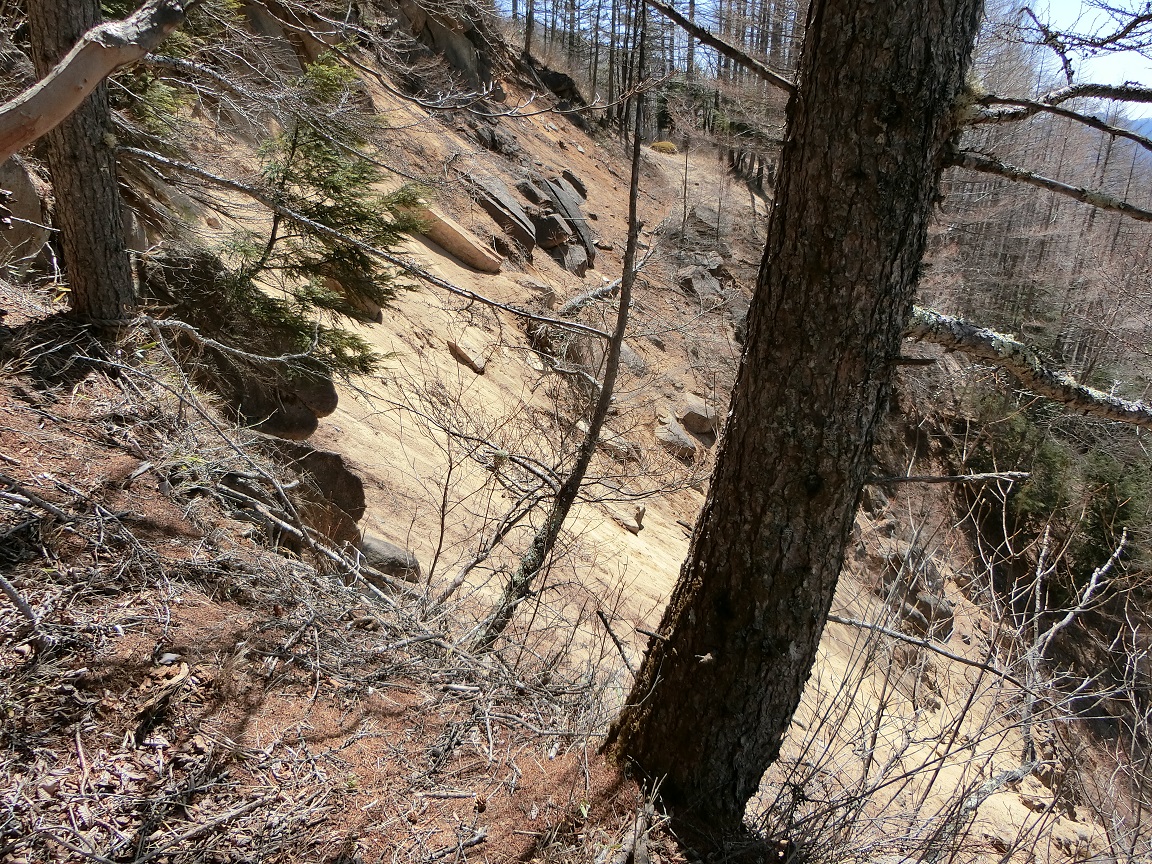 f:id:msx4:20210917222258j:plain