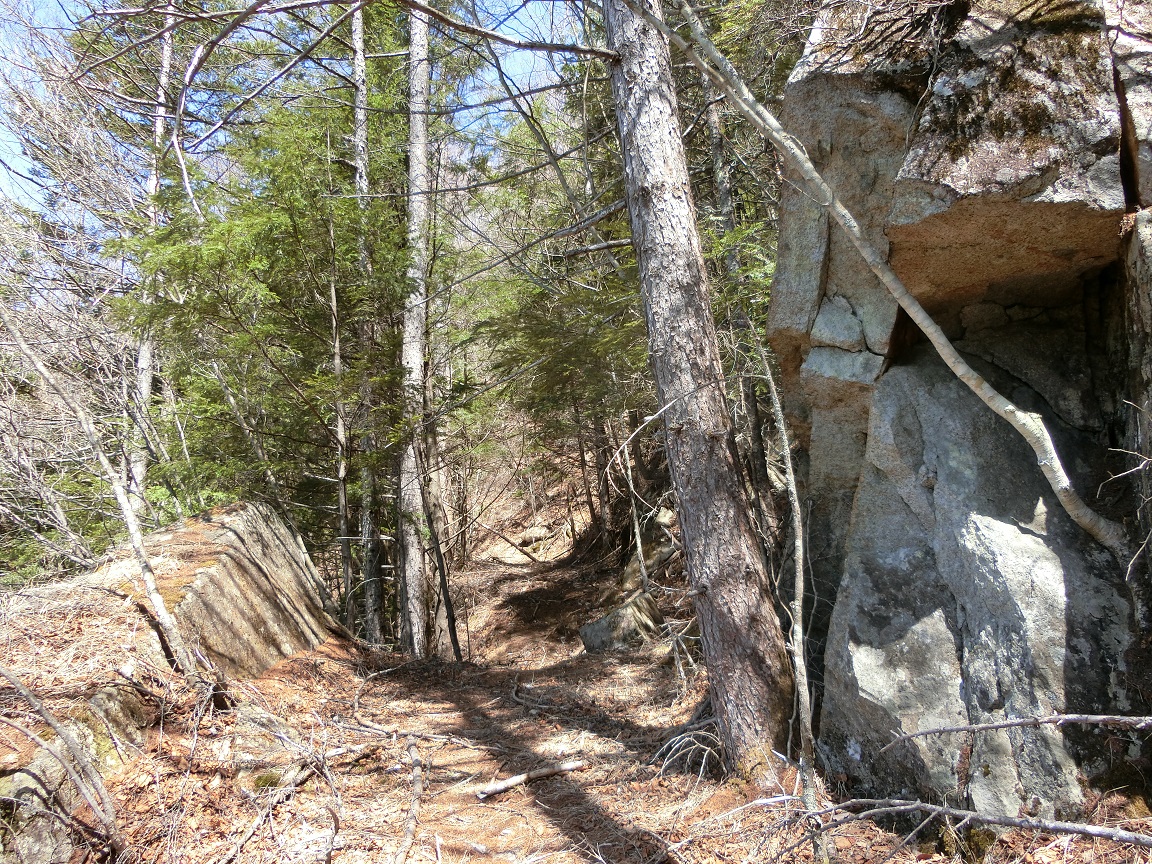 f:id:msx4:20210917222723j:plain