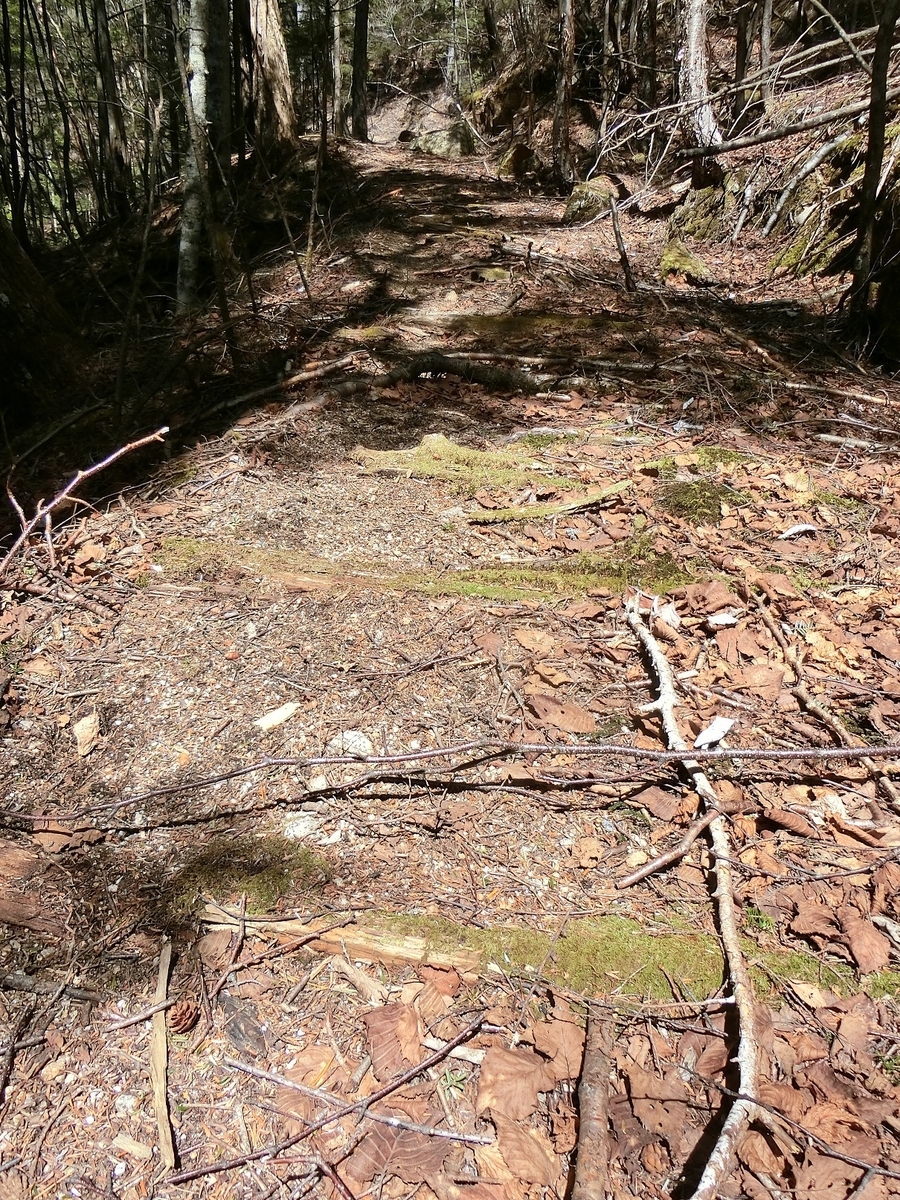 f:id:msx4:20210917222748j:plain