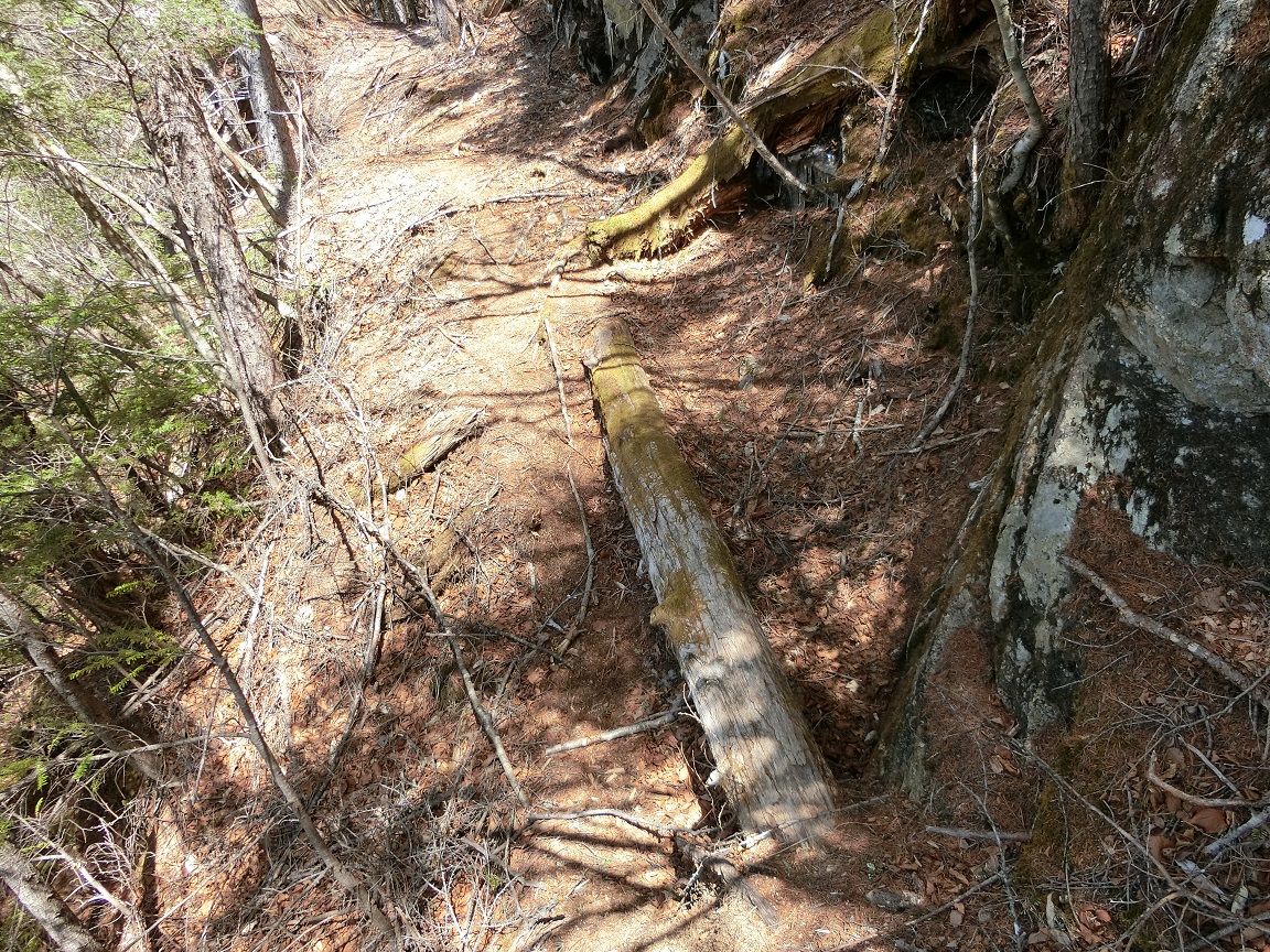 f:id:msx4:20210919213631j:plain