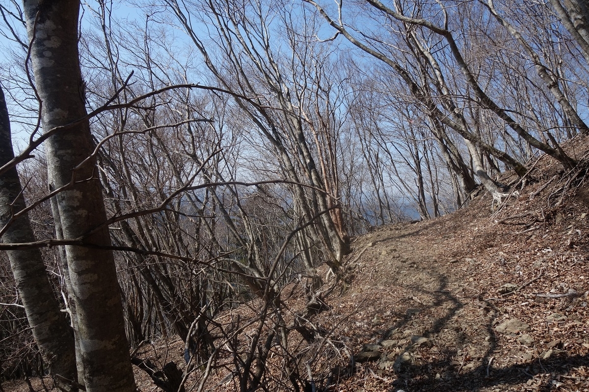 f:id:msx4:20220127234855j:plain