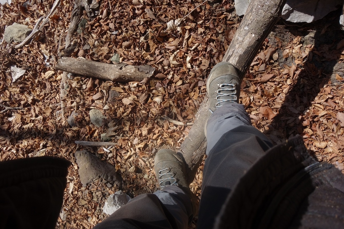 f:id:msx4:20220127235100j:plain