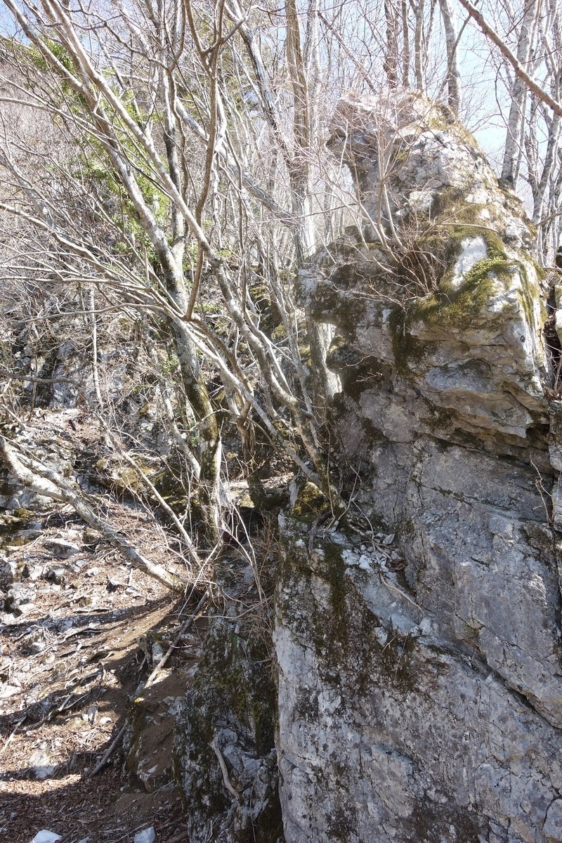 f:id:msx4:20220127235626j:plain