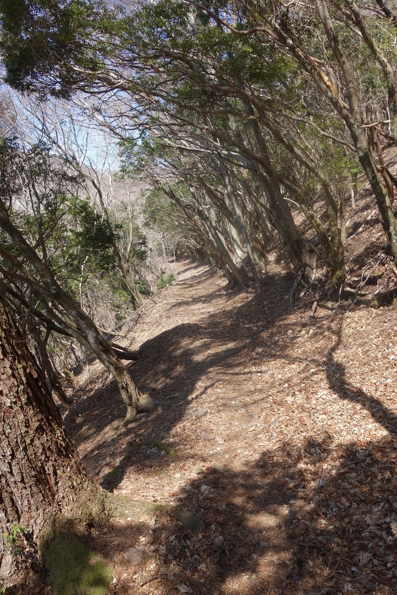 f:id:msx4:20220127235723j:plain