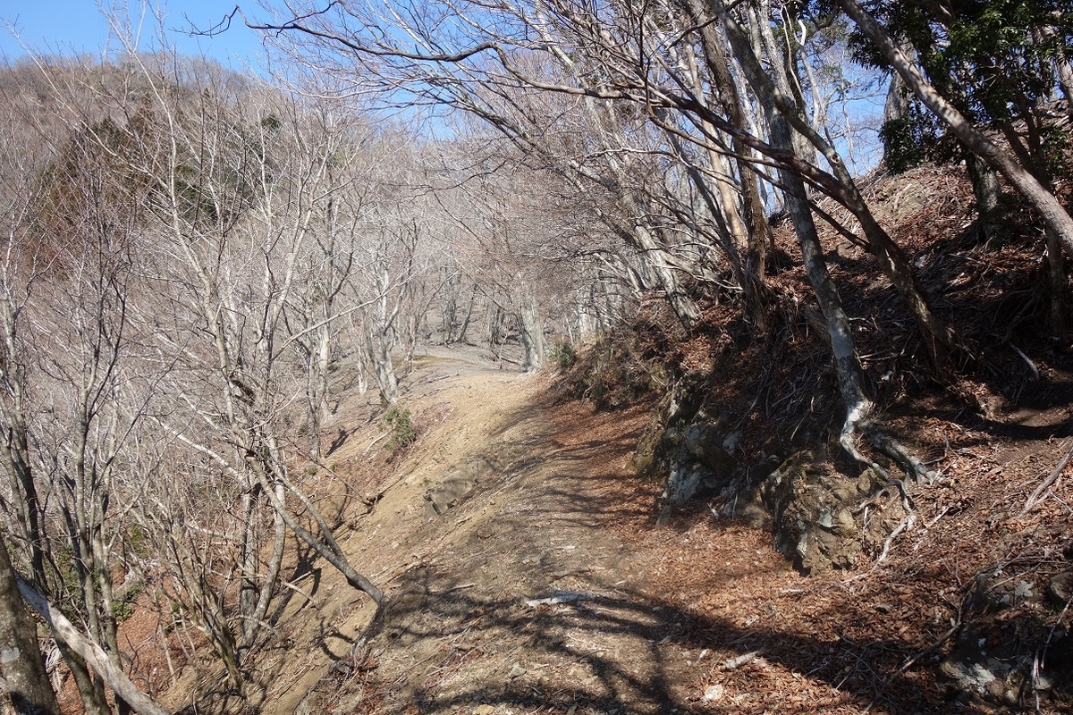 f:id:msx4:20220127235814j:plain