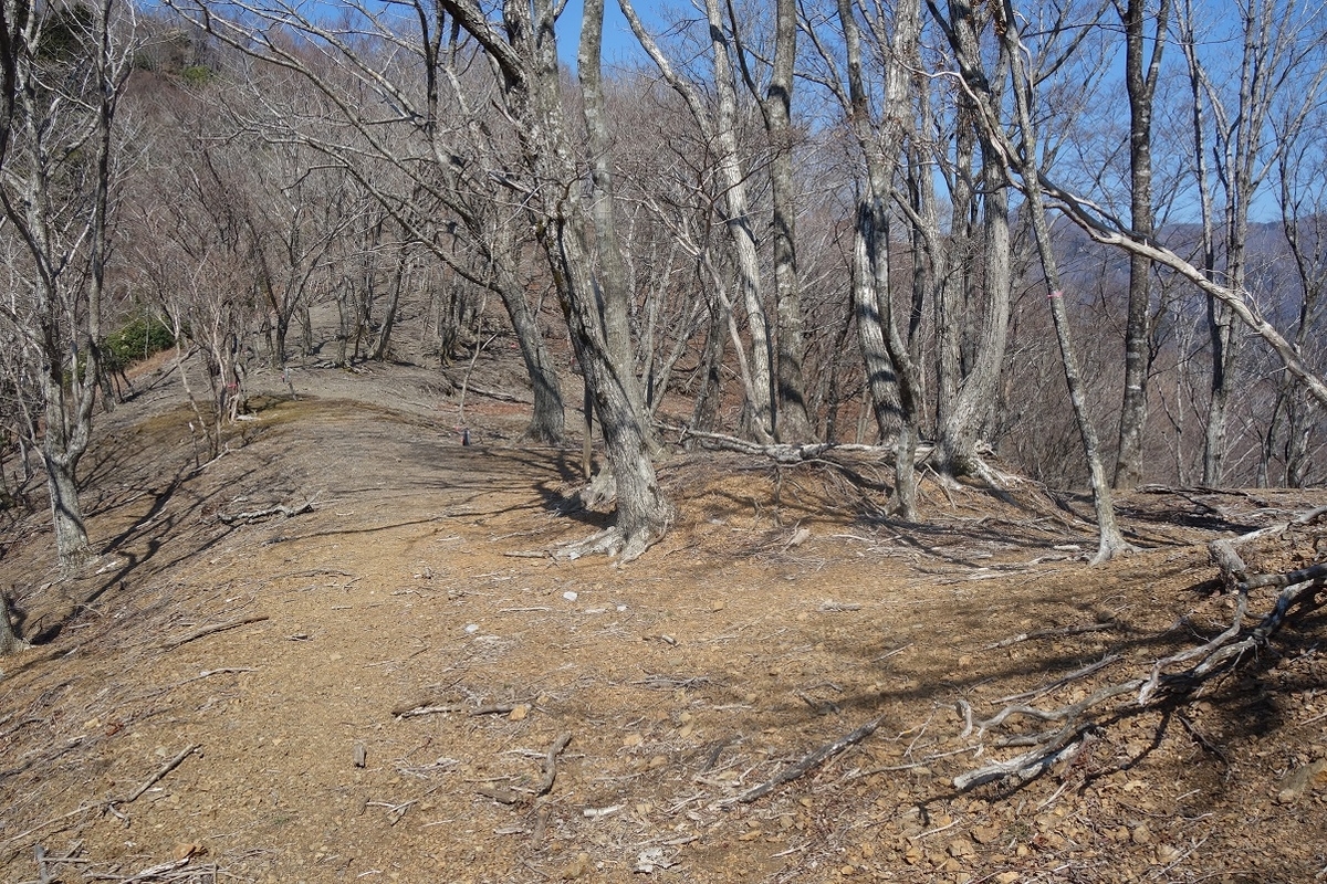 f:id:msx4:20220127235830j:plain