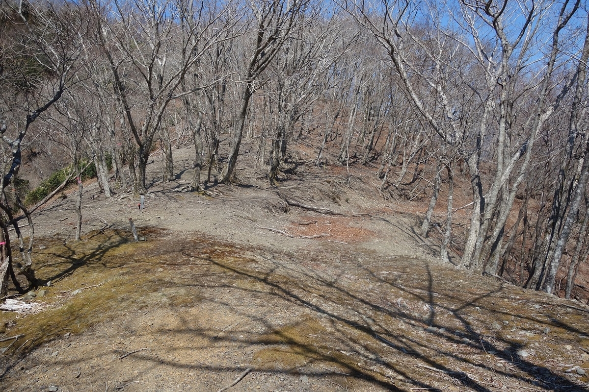 f:id:msx4:20220202004549j:plain