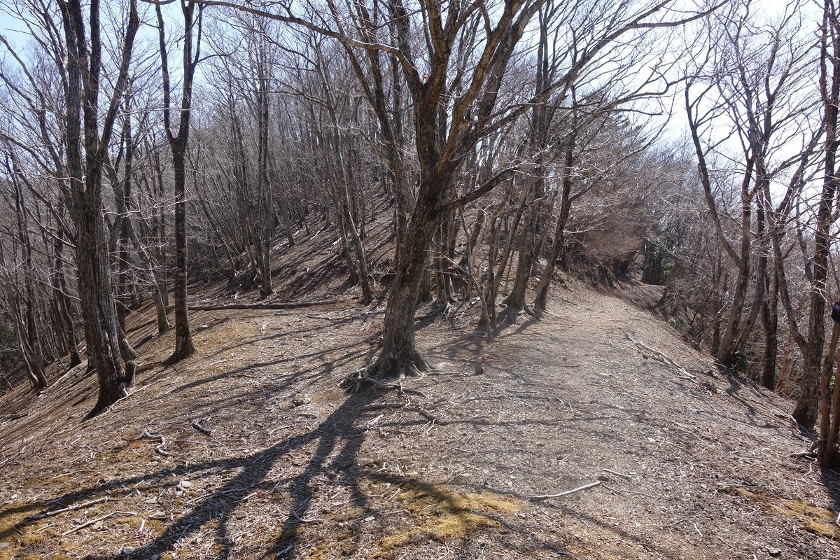 f:id:msx4:20220202004609j:plain