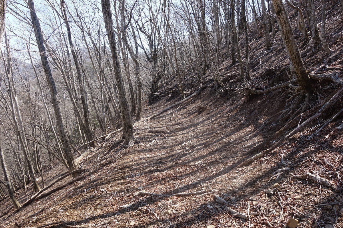 f:id:msx4:20220202004652j:plain