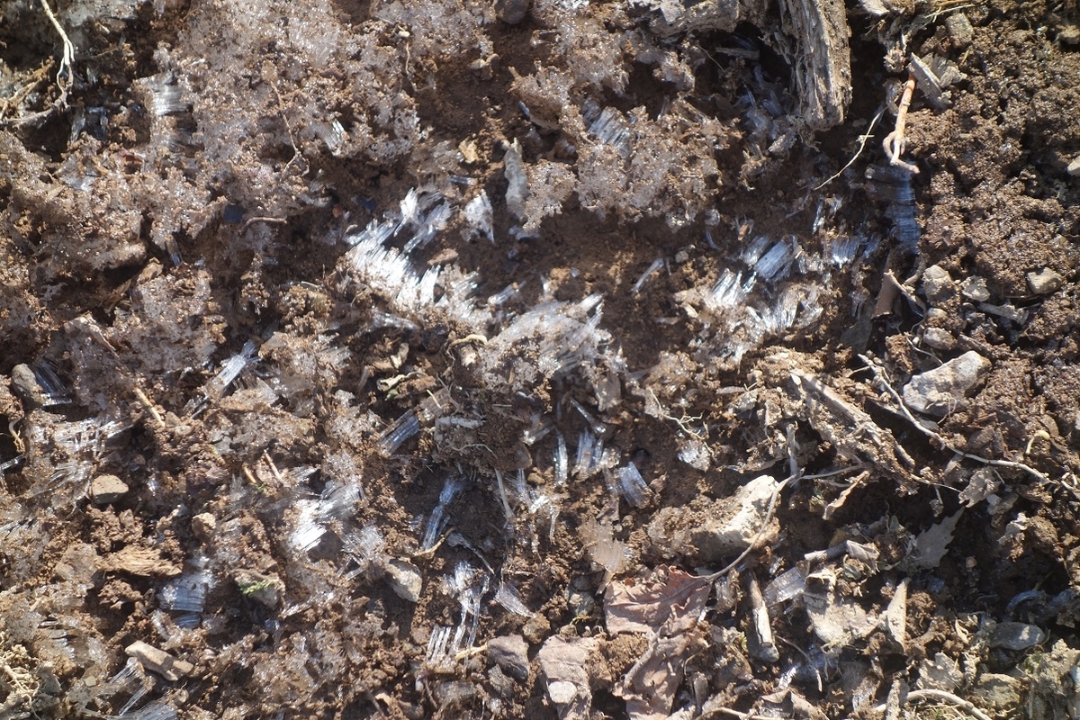 f:id:msx4:20220202004706j:plain