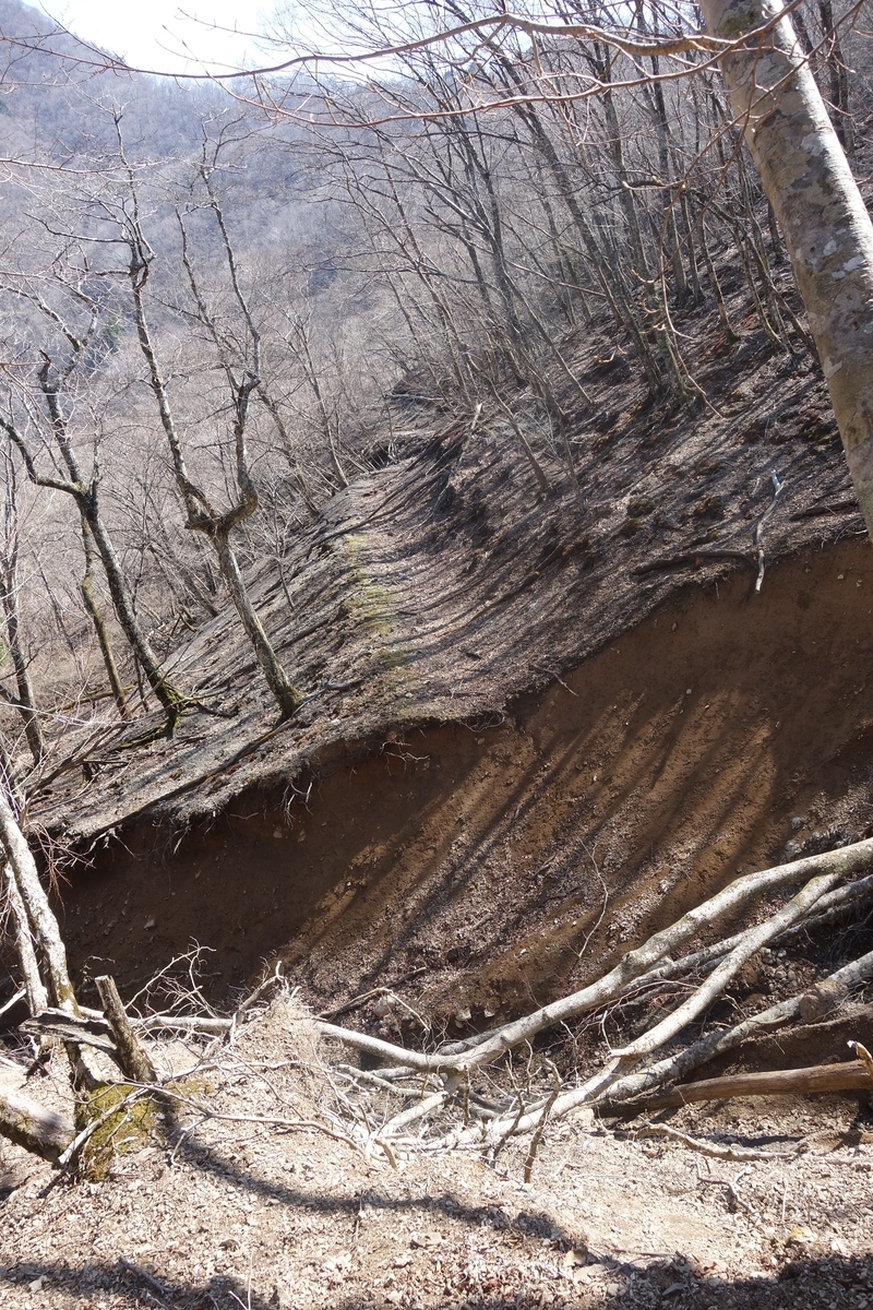 f:id:msx4:20220202004831j:plain