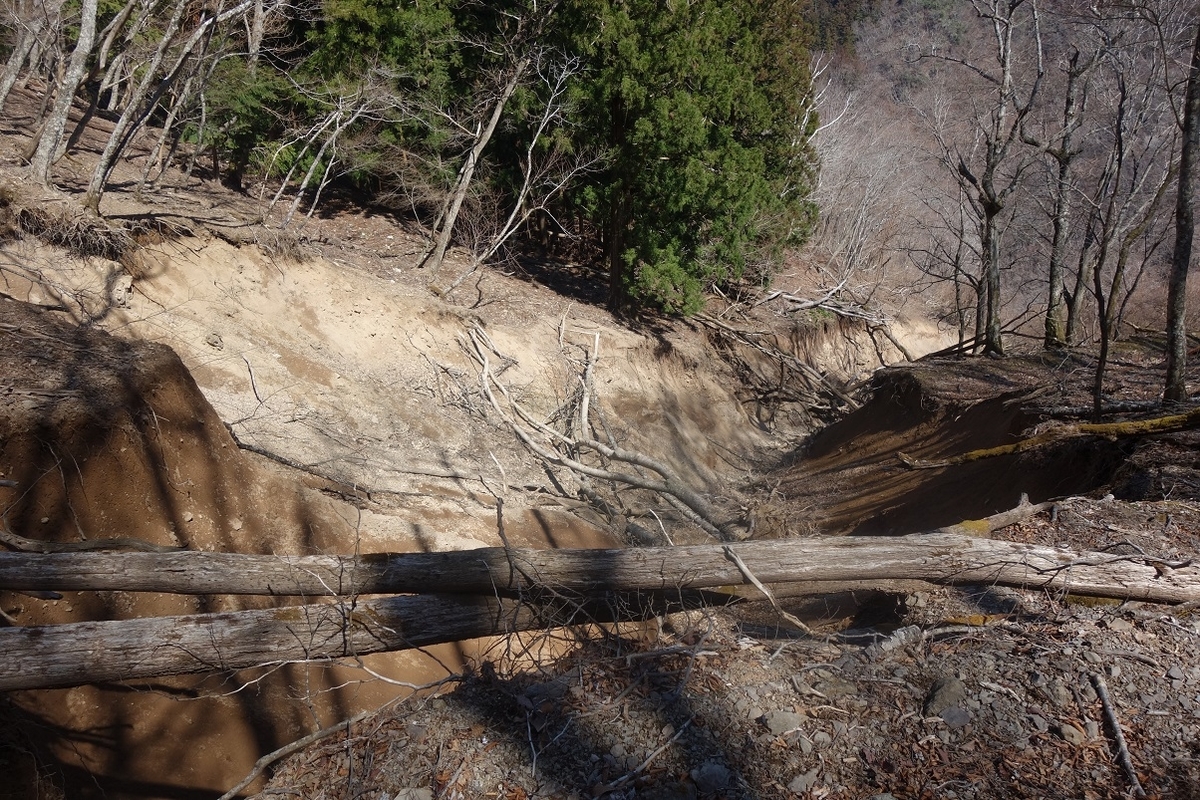 f:id:msx4:20220202004903j:plain