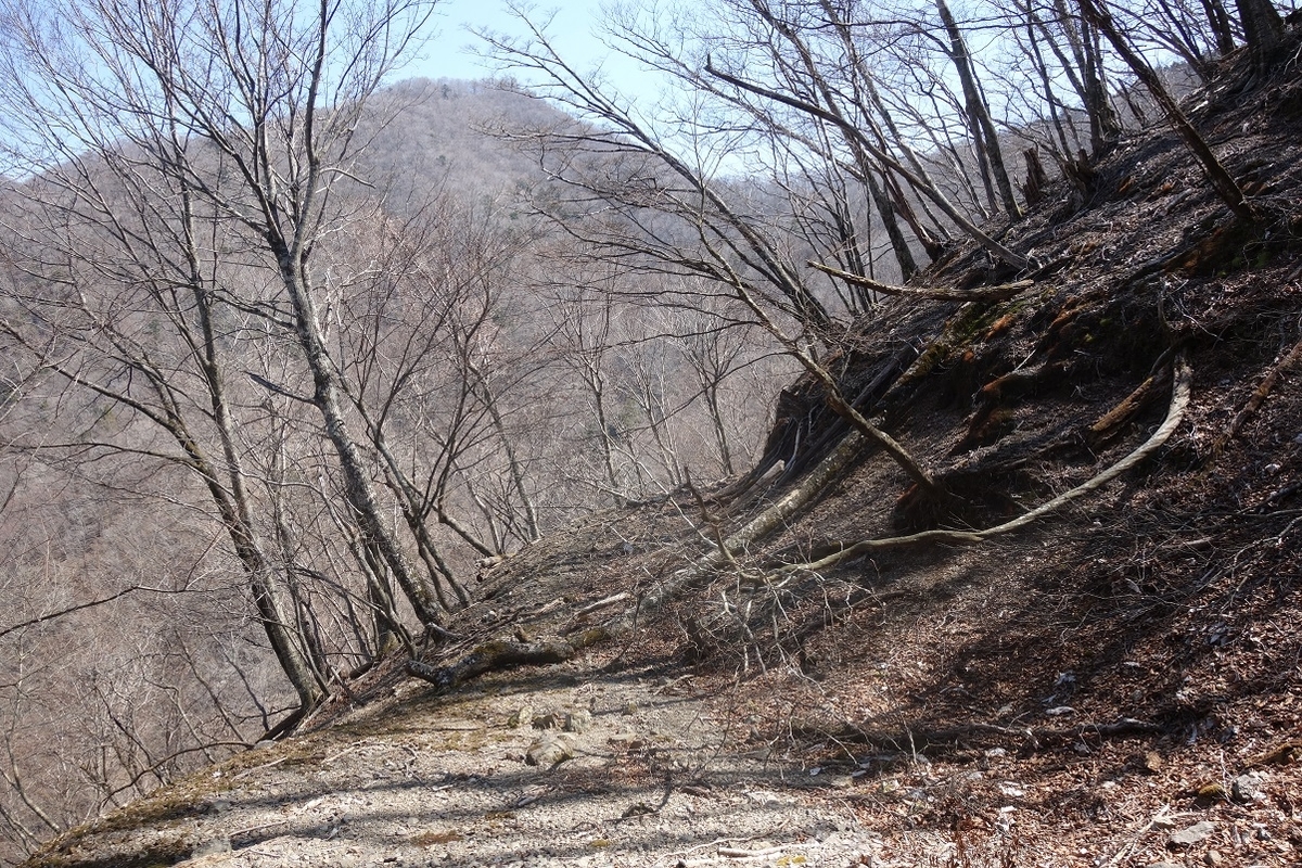 f:id:msx4:20220202004928j:plain