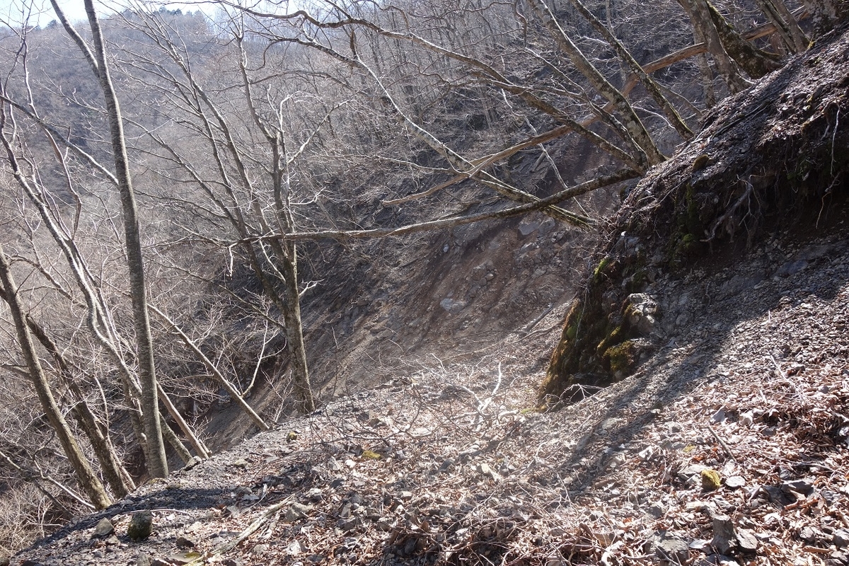 f:id:msx4:20220202004942j:plain