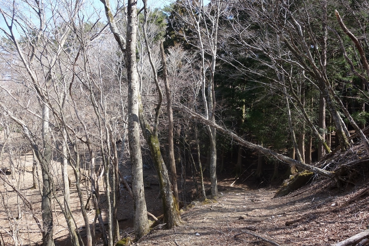 f:id:msx4:20220202092559j:plain