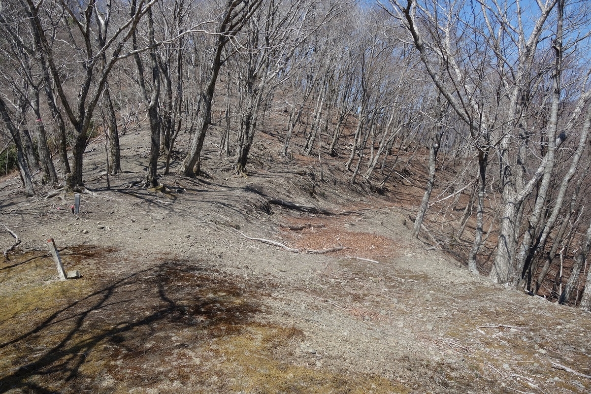 f:id:msx4:20220203020029j:plain