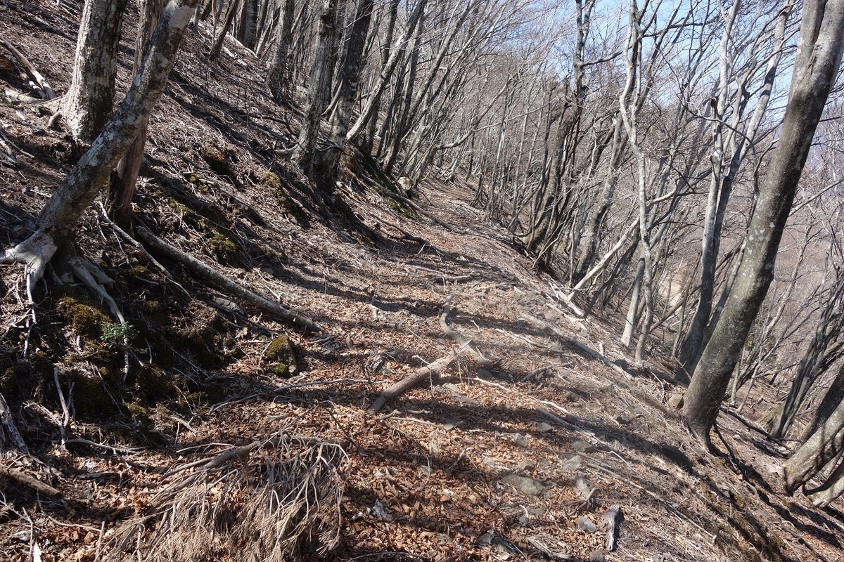 f:id:msx4:20220203020302j:plain