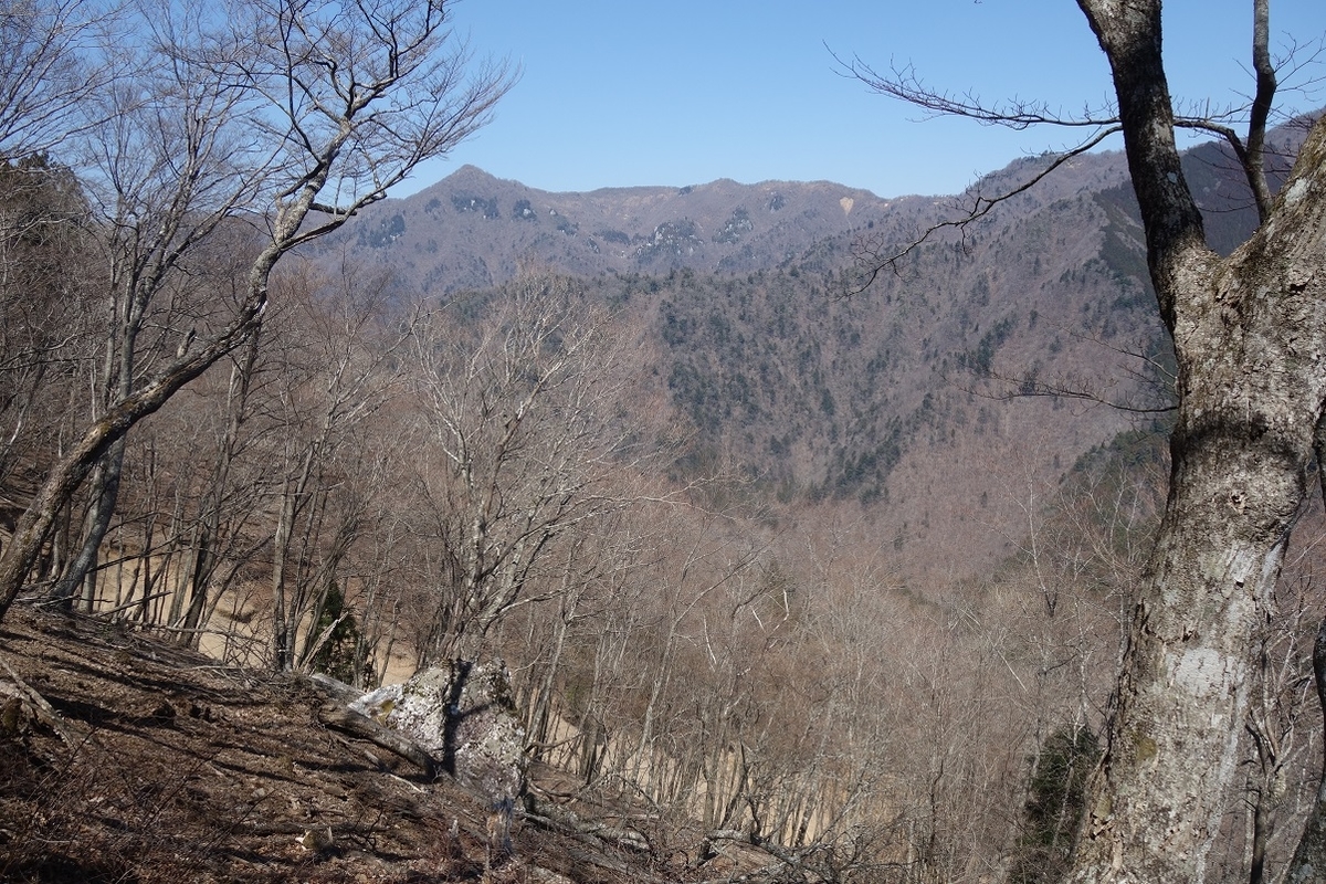 f:id:msx4:20220203020352j:plain