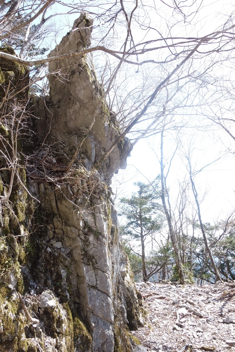 f:id:msx4:20220205214247j:plain