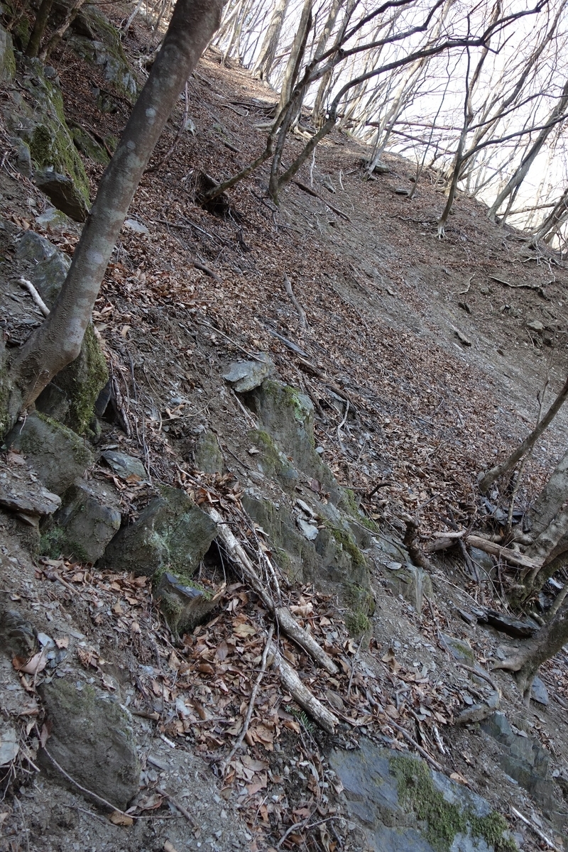 f:id:msx4:20220309133512j:plain