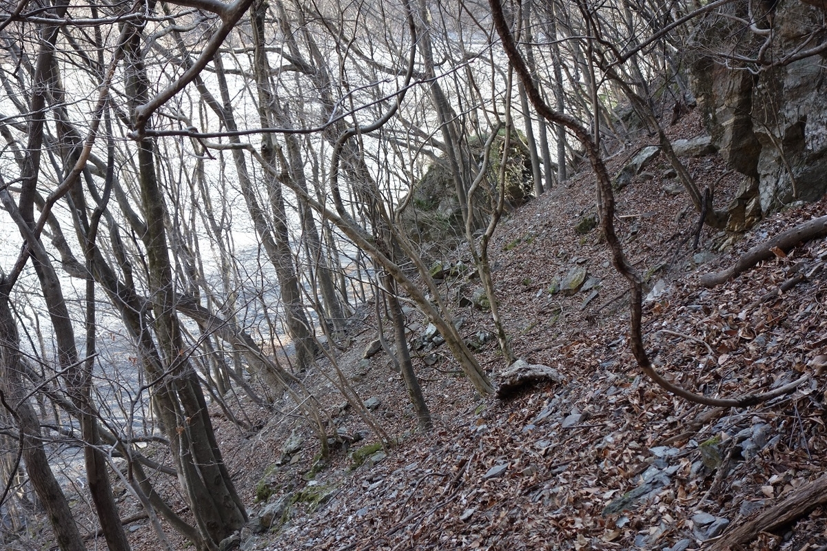 f:id:msx4:20220309133526j:plain